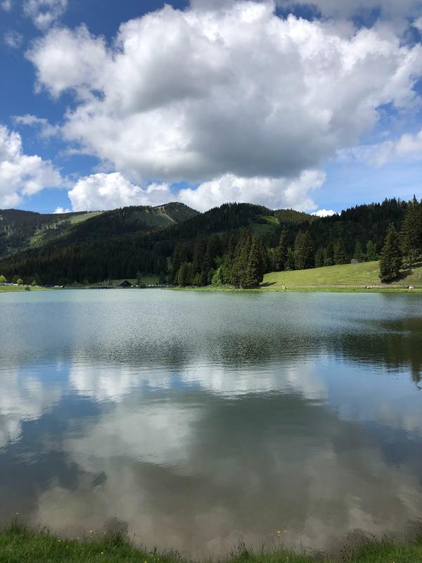 Tagesexkursion im Naturpark Dobratsch (Villacher Alpe)